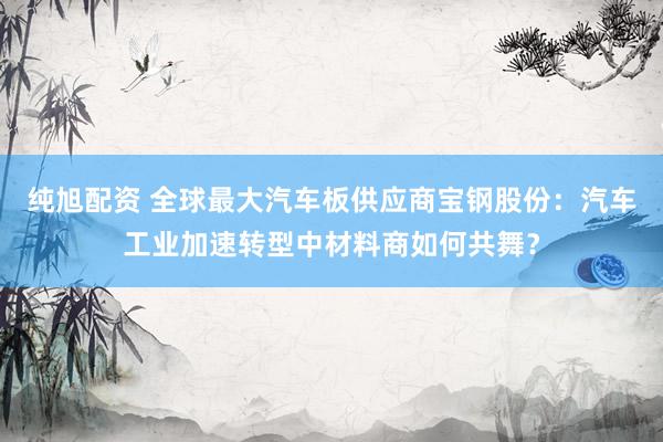 纯旭配资 全球最大汽车板供应商宝钢股份：汽车工业加速转型中材料商如何共舞？