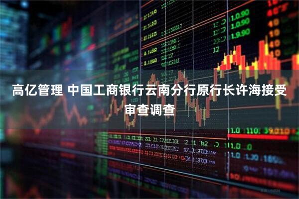 高亿管理 中国工商银行云南分行原行长许海接受审查调查